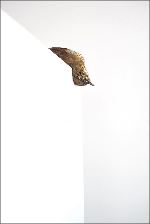 551175_10150824653220771_33185709_n