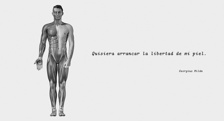 La banalidad de las cosas